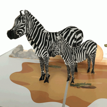 pop-up zebra kaart